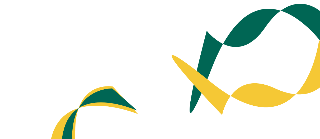 Expert Solutions for Corporate  Financial Success. - 海星体育直播
