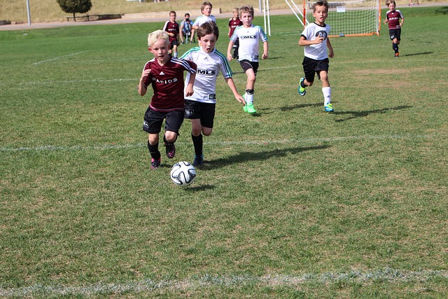 扩展其欧洲 扩展其欧洲