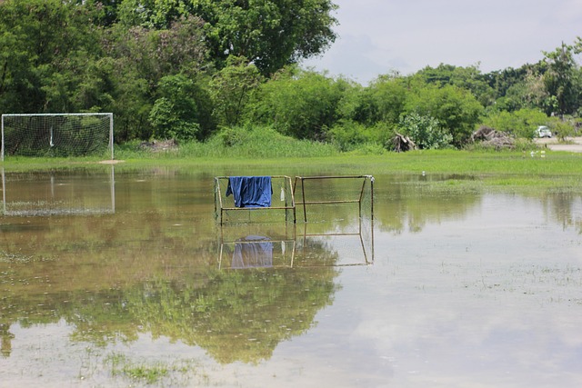 纯粹的职业 纯粹的职业