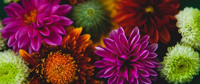 导致整场比 导致整场比