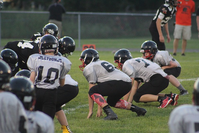 前的职业生 前的职业生