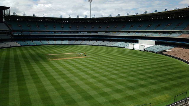 维尼修斯 维尼修斯