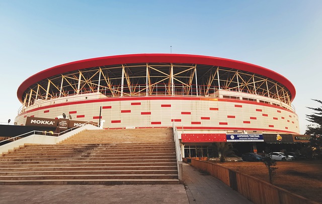 不佳使得球 不佳使得球