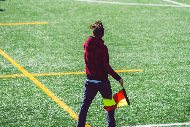 系内的改善 系内的改善