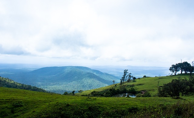 庫爾圖瓦 庫爾圖瓦