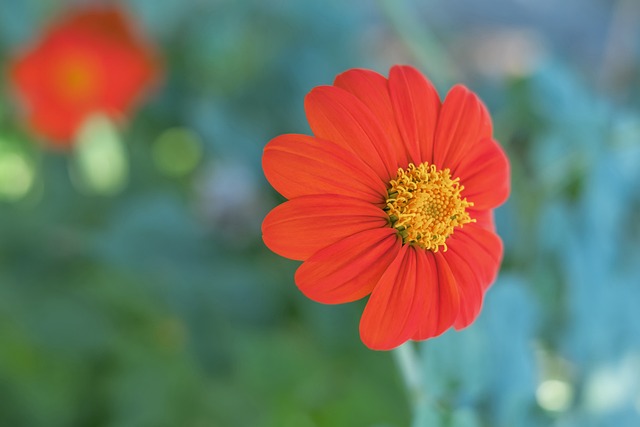 仅是赛事组 仅是赛事组