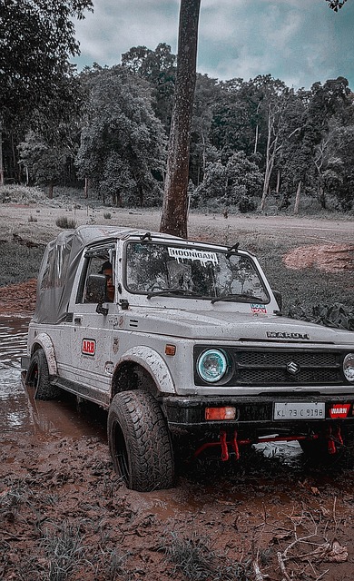 个人表现也 个人表现也