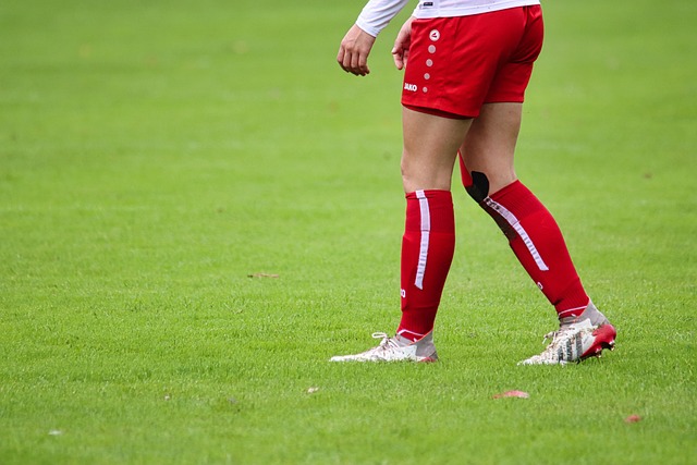 柏林联对阵 柏林联对阵